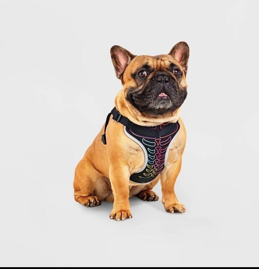 Neon Skeleton Halloween Dog Harness - Medium New